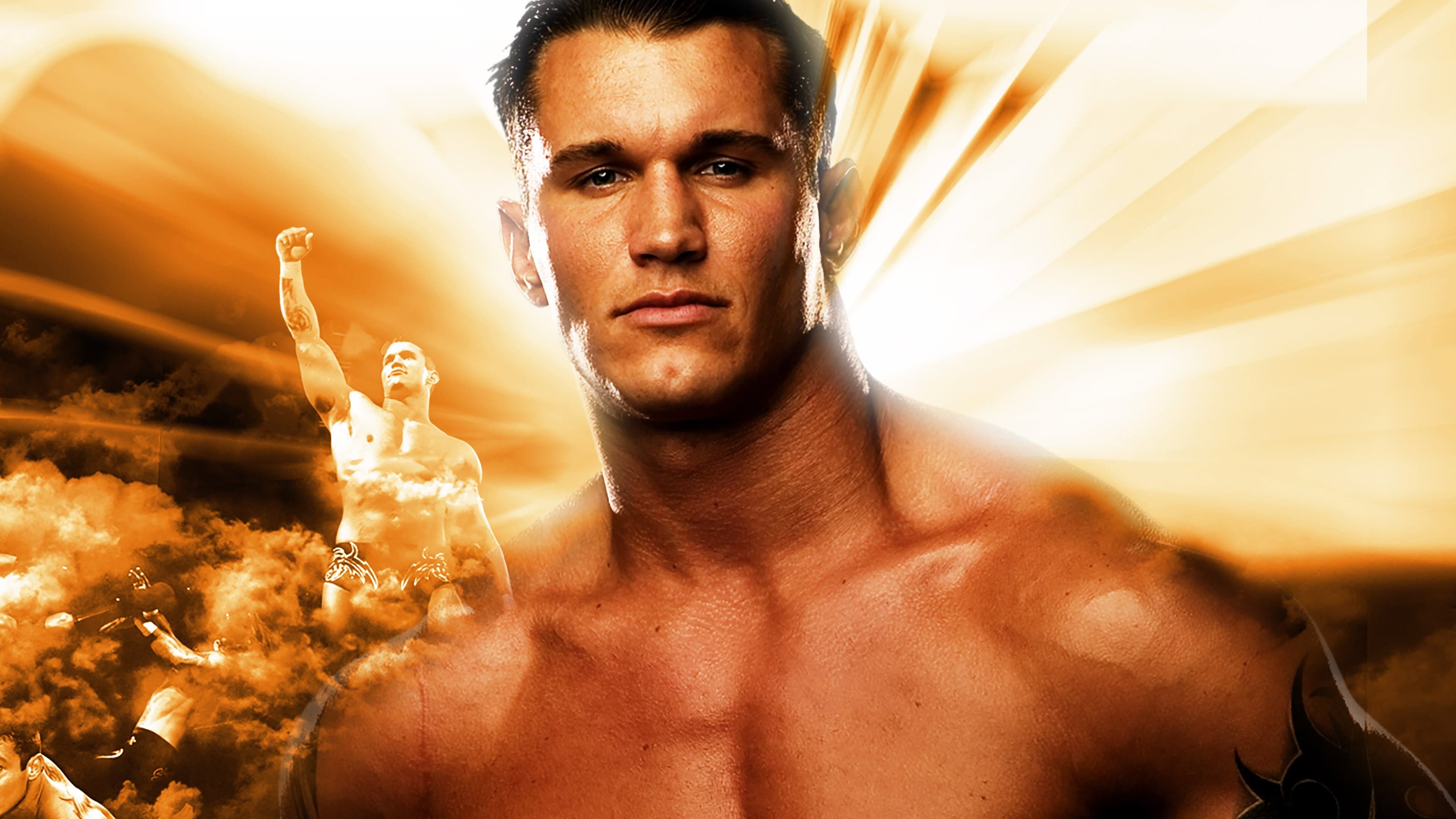 WWE Vengeance 2004 - immagine