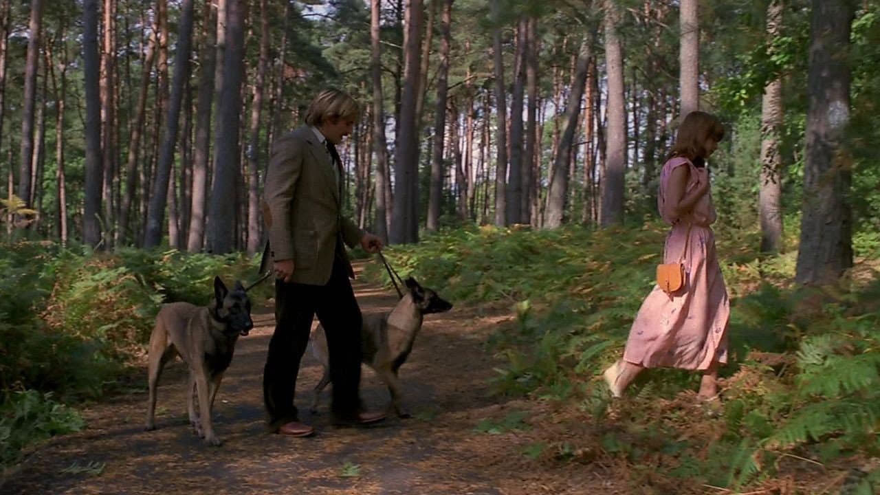 Dogs Man - L'uomo dei cani - immagine