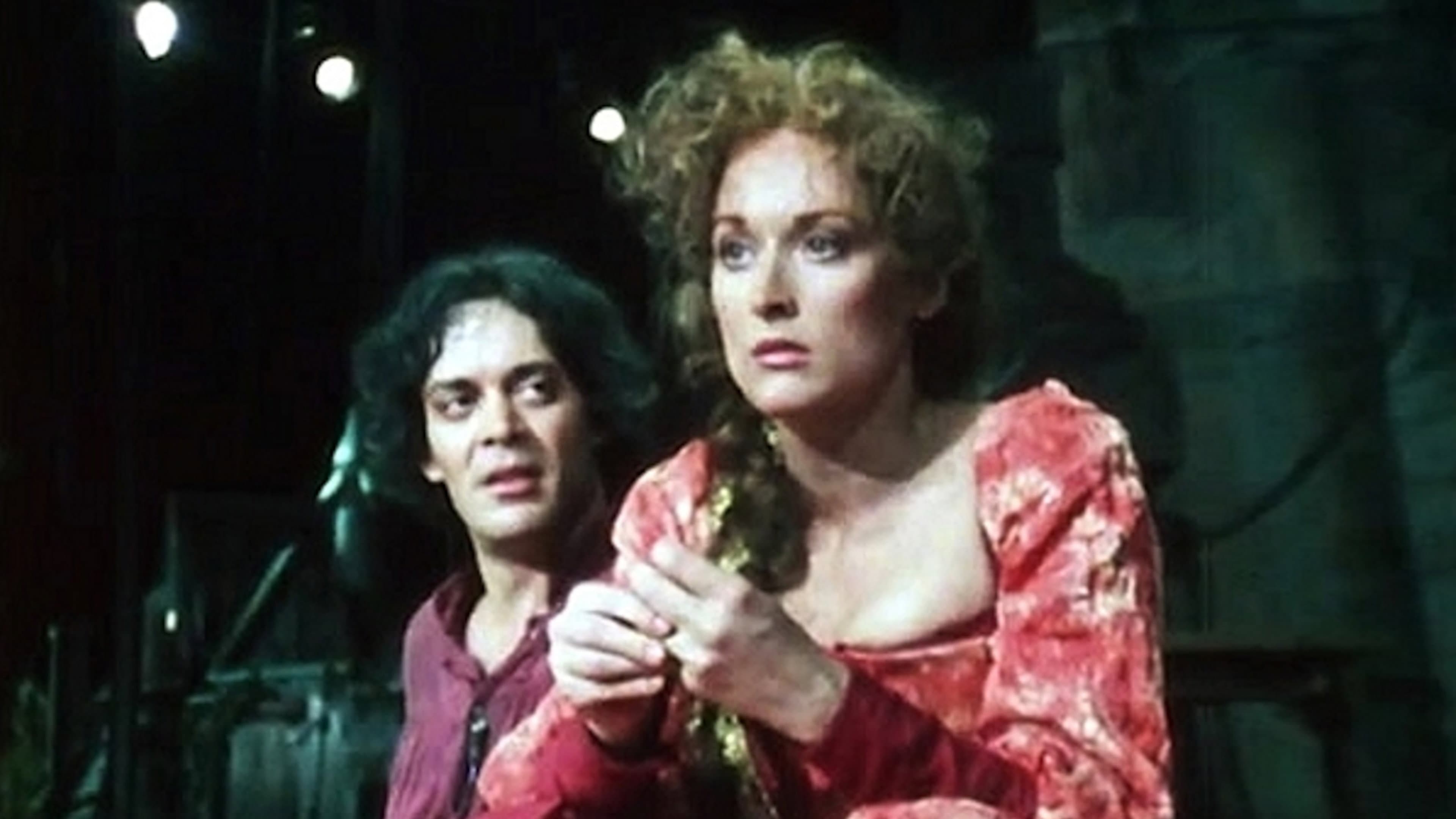 Kiss Me, Petruchio - immagine