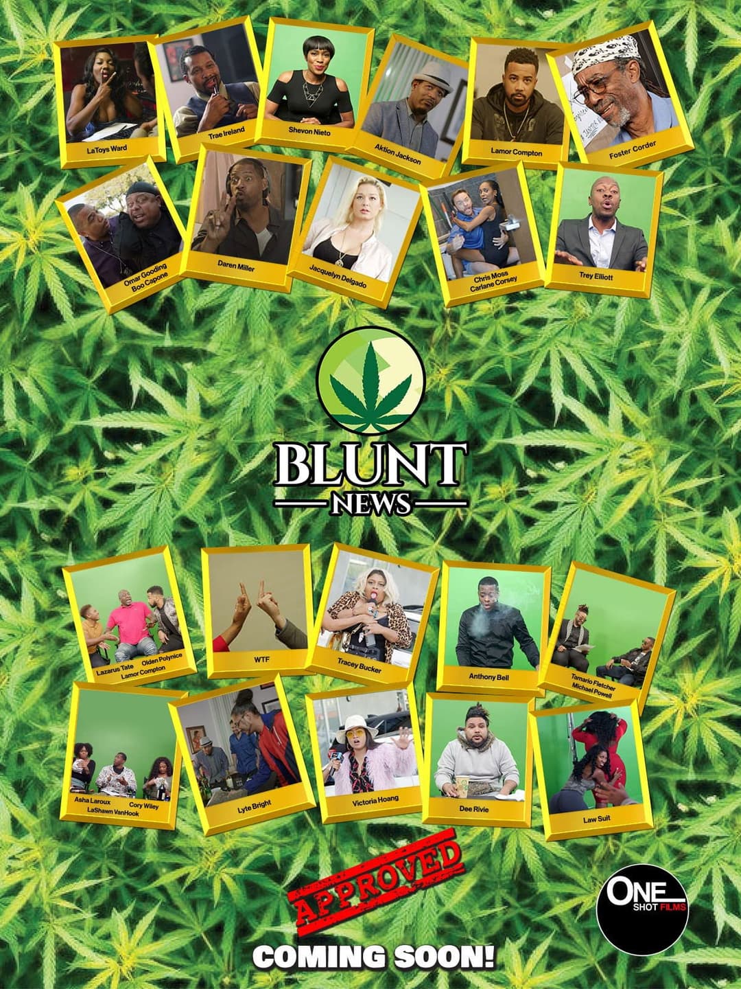 Poster di Blunt News