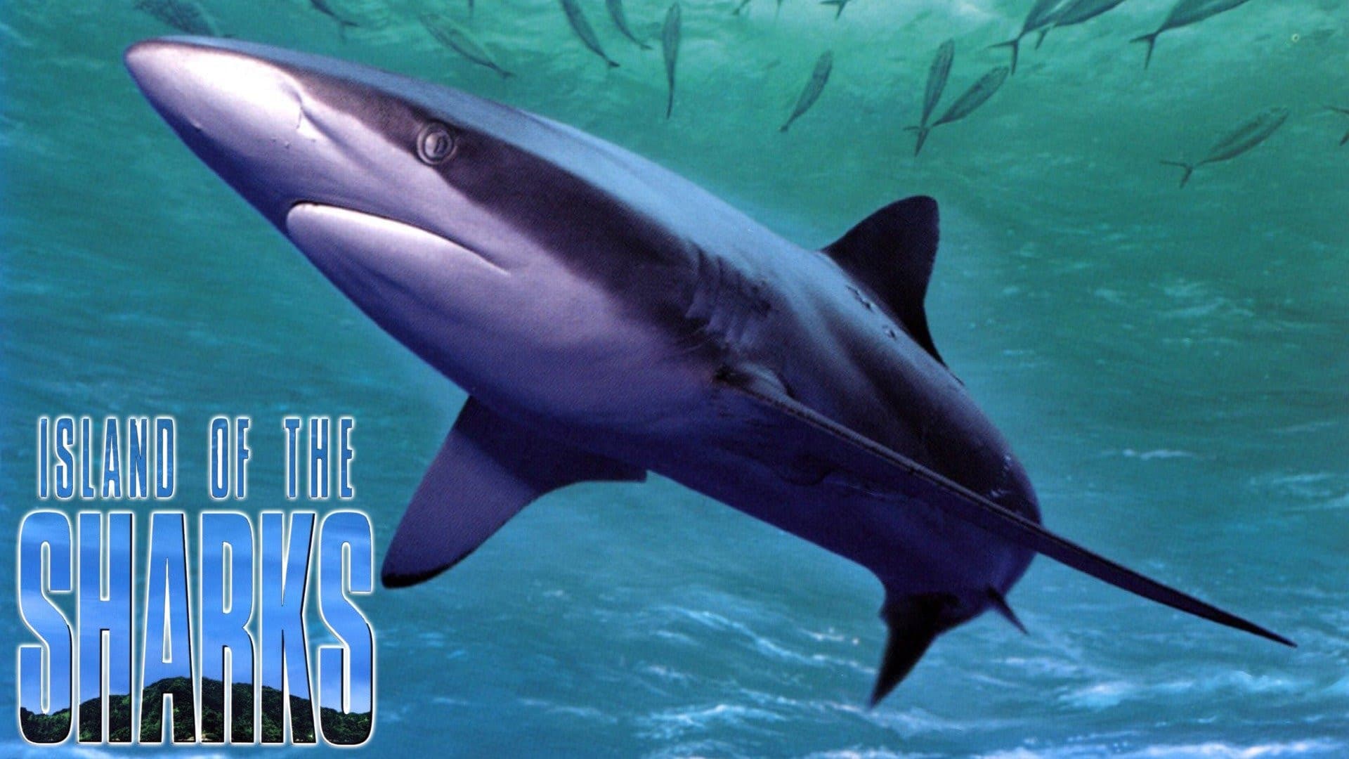 Island of the Sharks - immagine