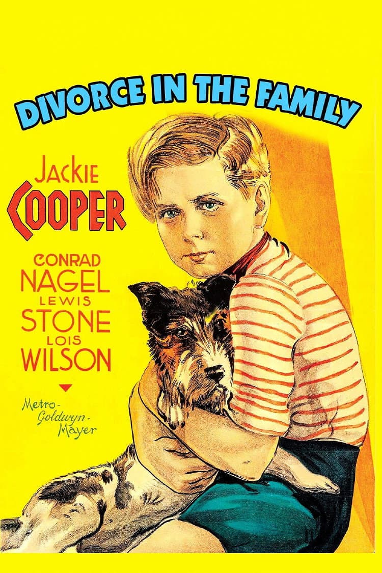 Poster di Divorce In The Family
