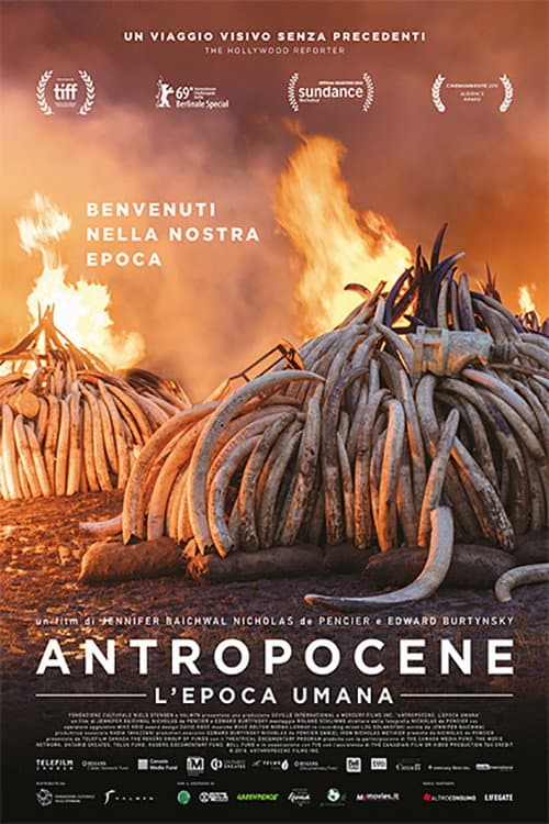 Poster di Antropocene - L'epoca umana