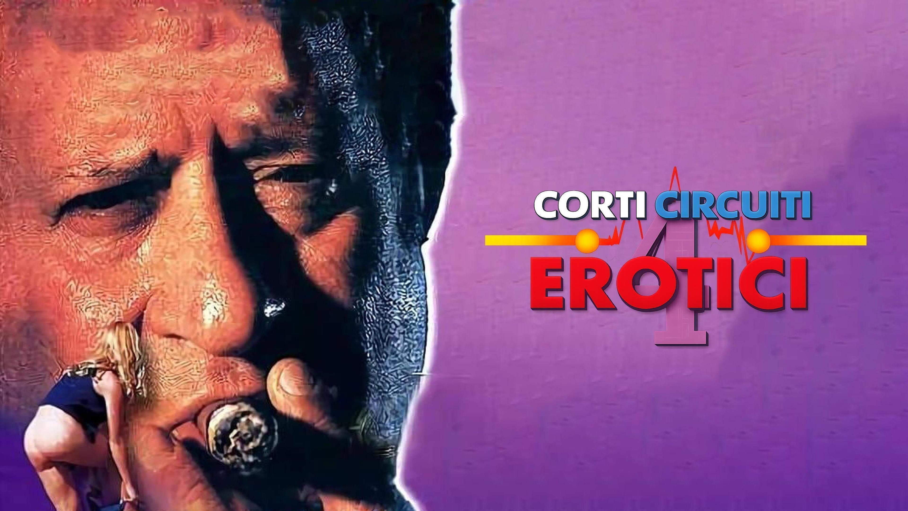 Corti circuiti erotici Vol.4 - immagine