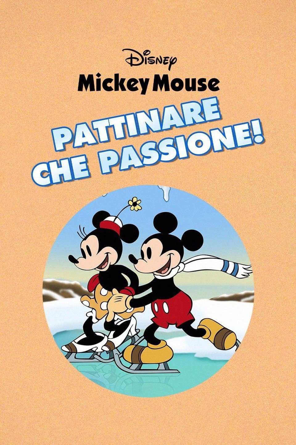 Poster di Pattinare che passione
