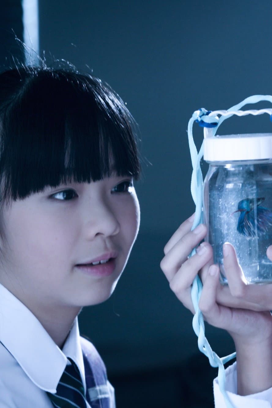 Poster di 星星的孩子