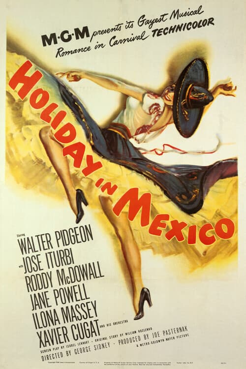 Poster di Holiday in Mexico