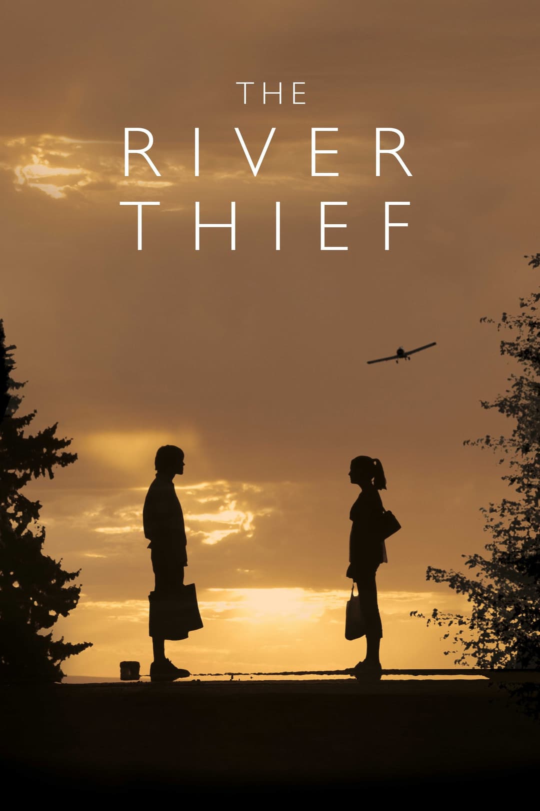 Poster di The River Thief