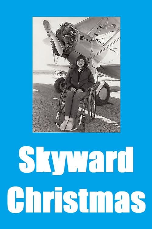 Poster di Skyward Christmas