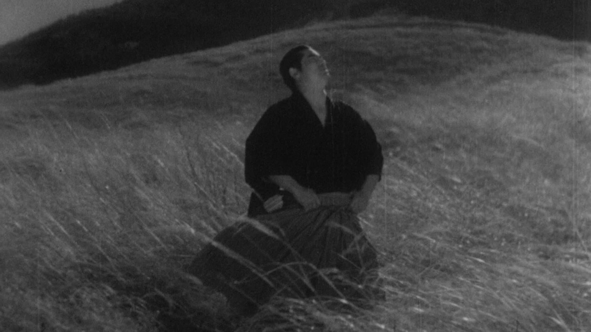 Sanshiro sugata - immagine