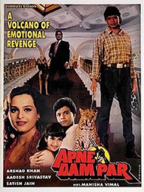 Poster di Apne Dam Par