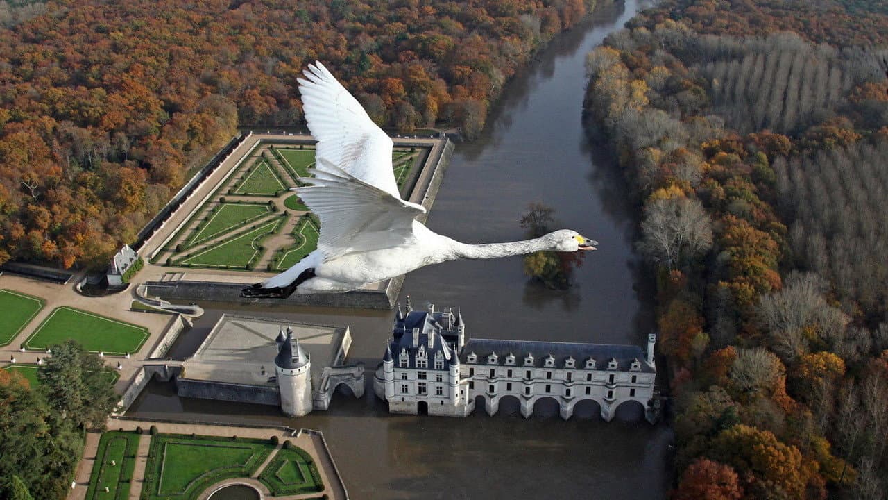 Le Plus Beau Pays du Monde - immagine