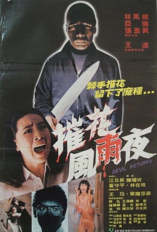 Poster di 驚魂風雨夜