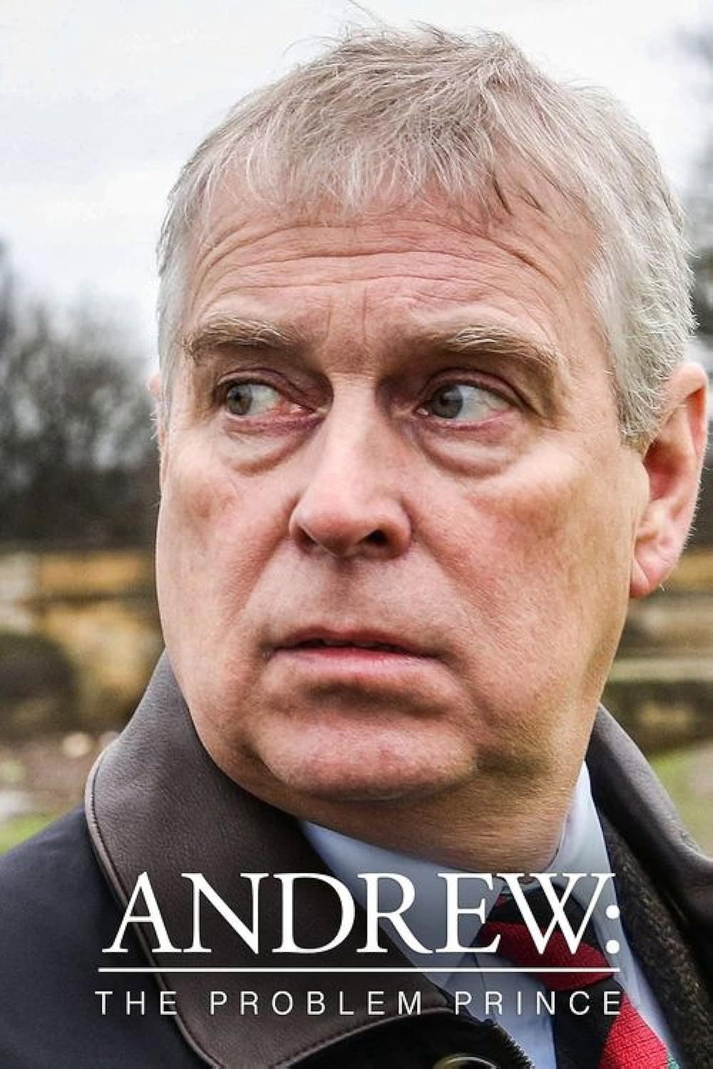 Poster di Andrew: The Problem Prince