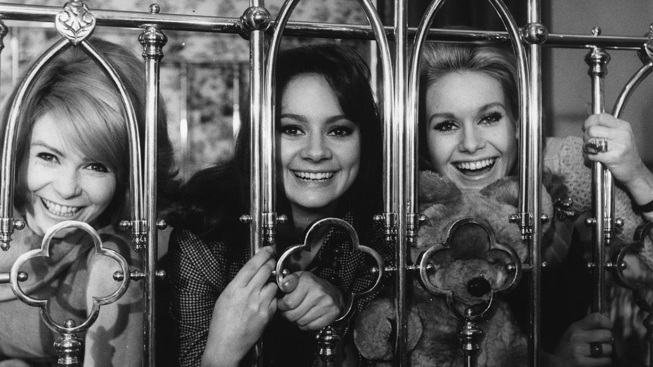Le ragazze del piacere - immagine