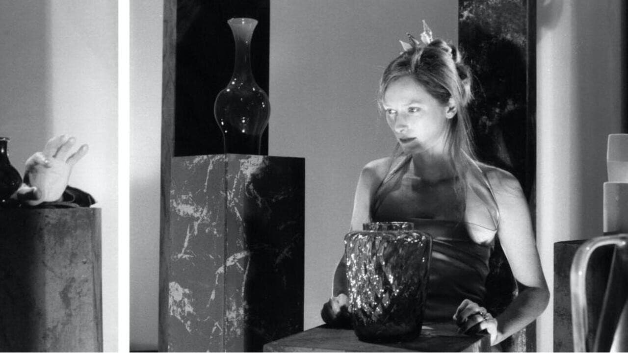 The Party: Nature Morte - immagine
