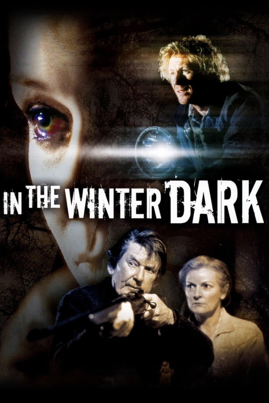 Poster di In the Winter Dark
