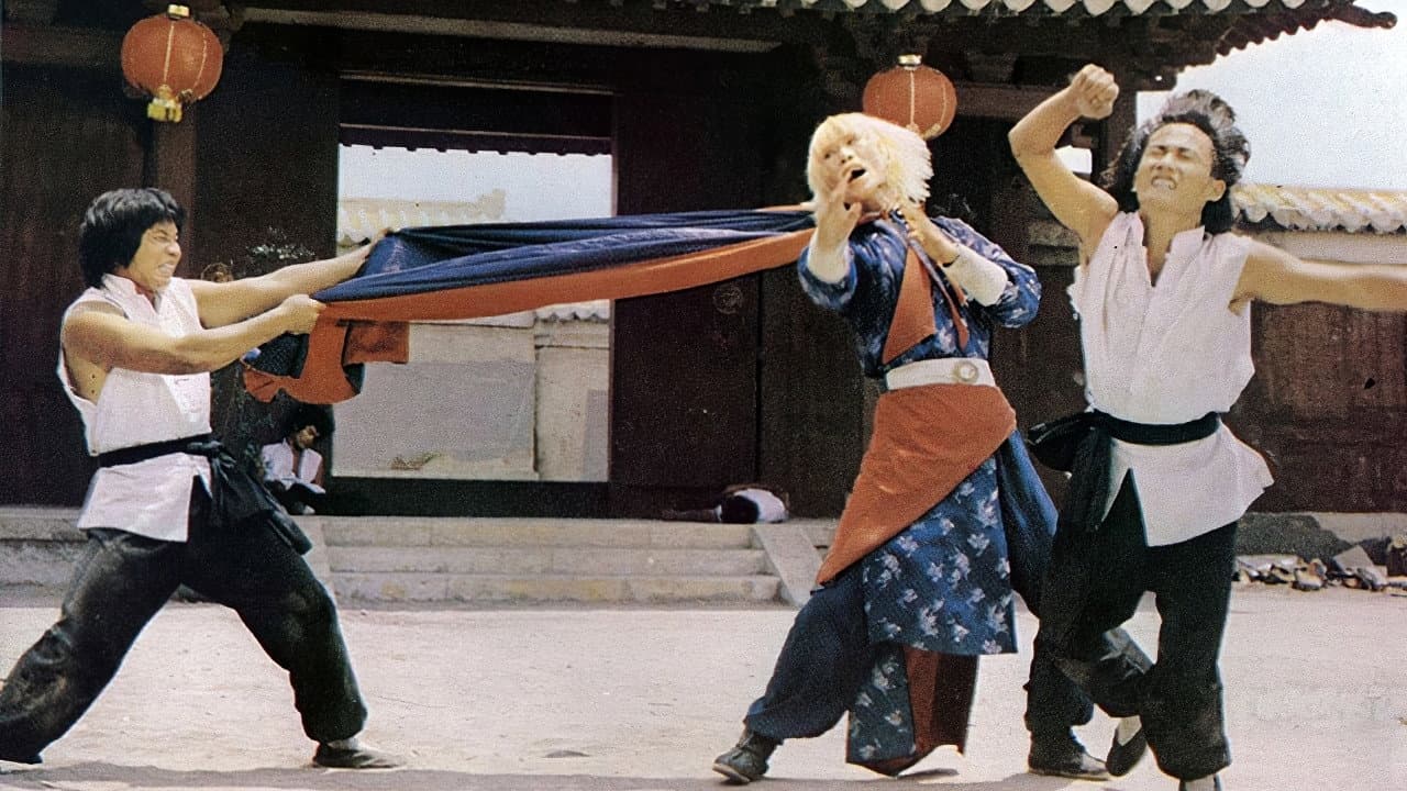 Kung Fu L'incredibile missione - immagine