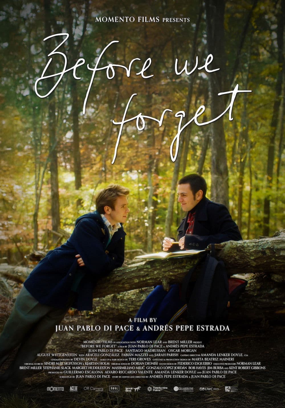 Poster di Before We Forget