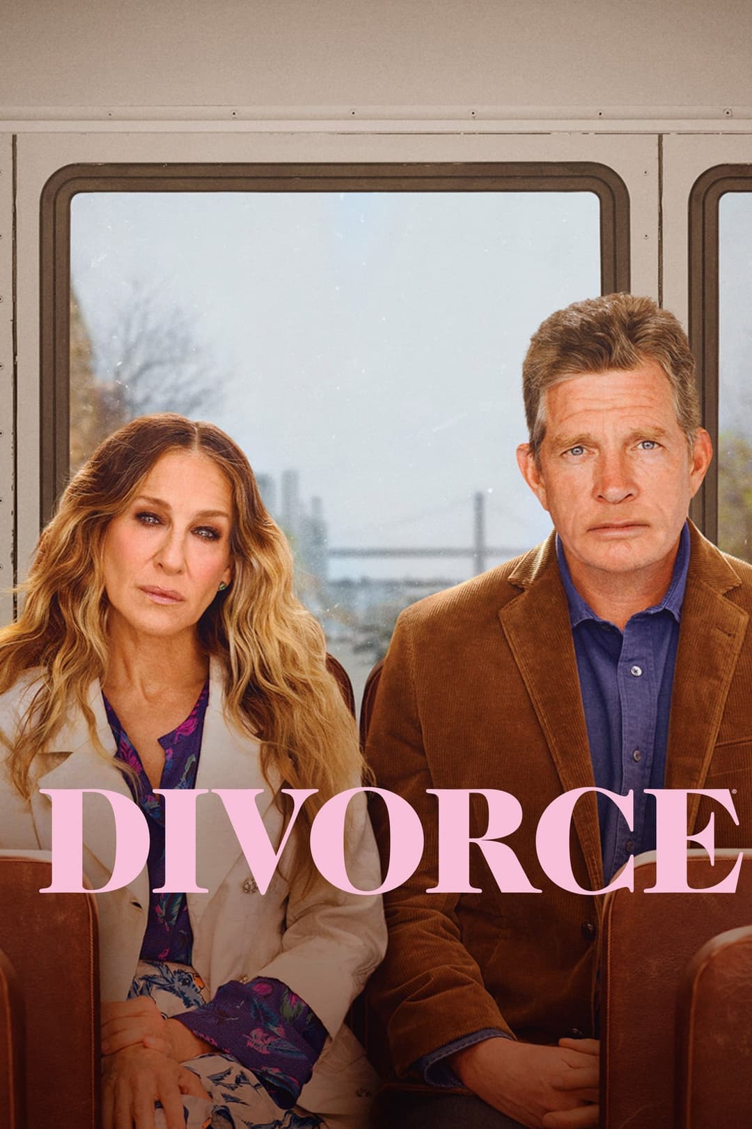Poster di Divorce