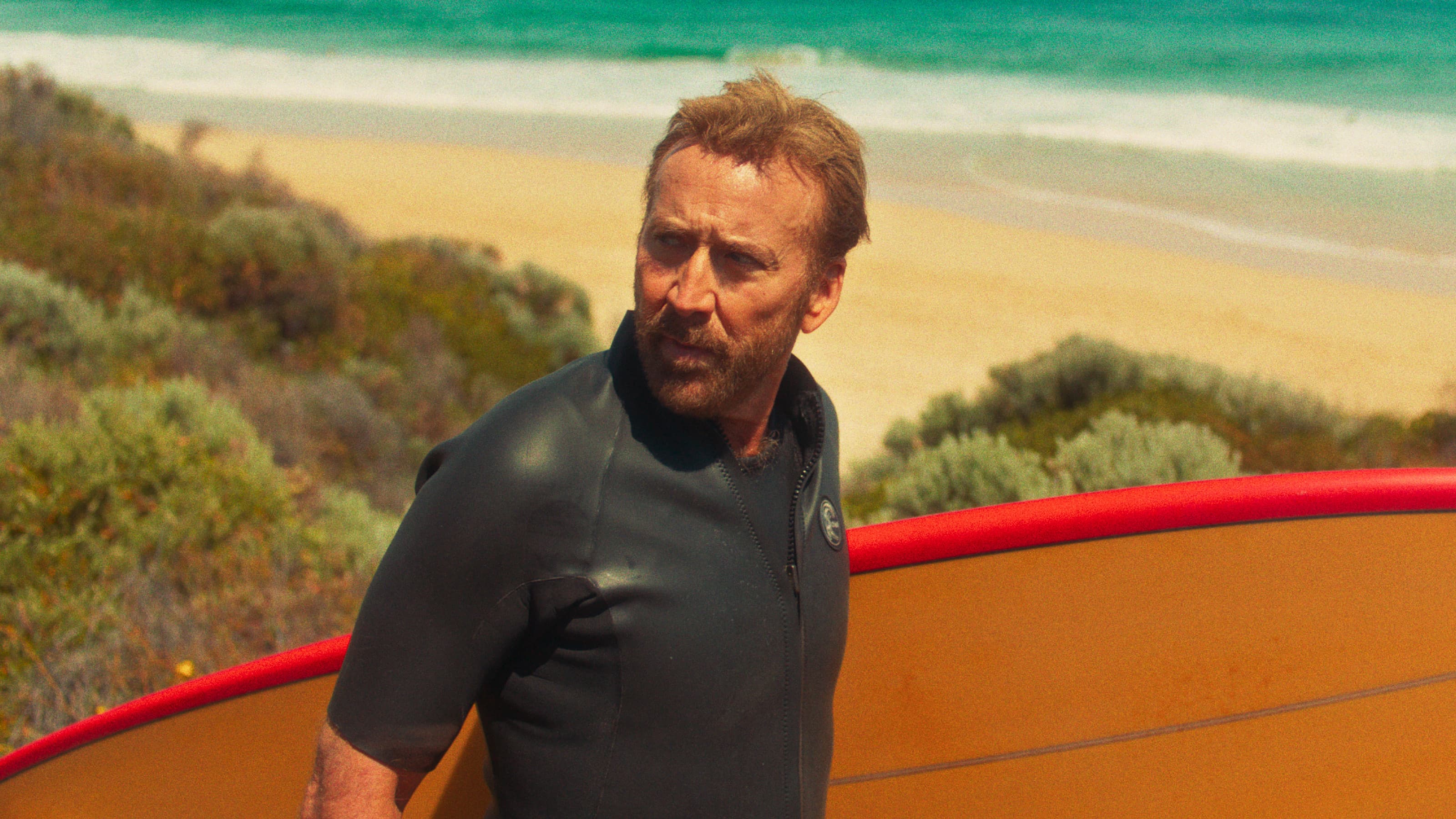 The Surfer - immagine