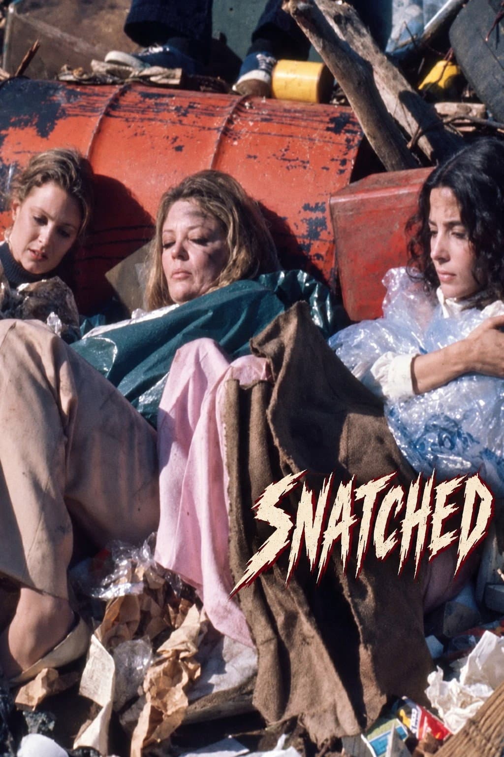 Poster di Snatched