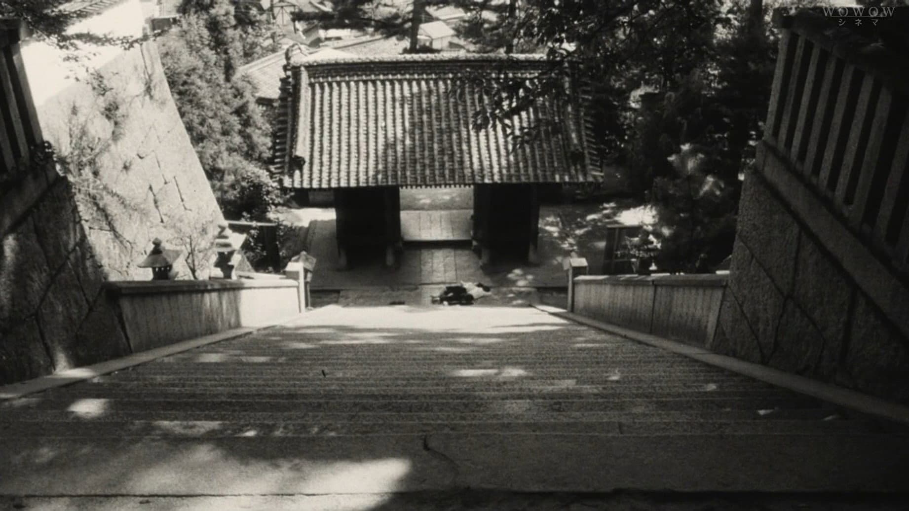 転校生 - immagine