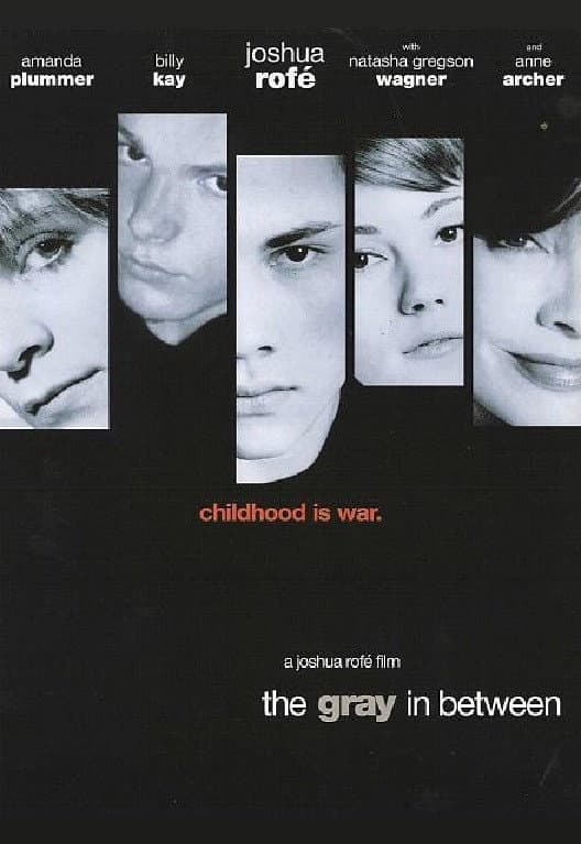 Poster di The Gray in Between