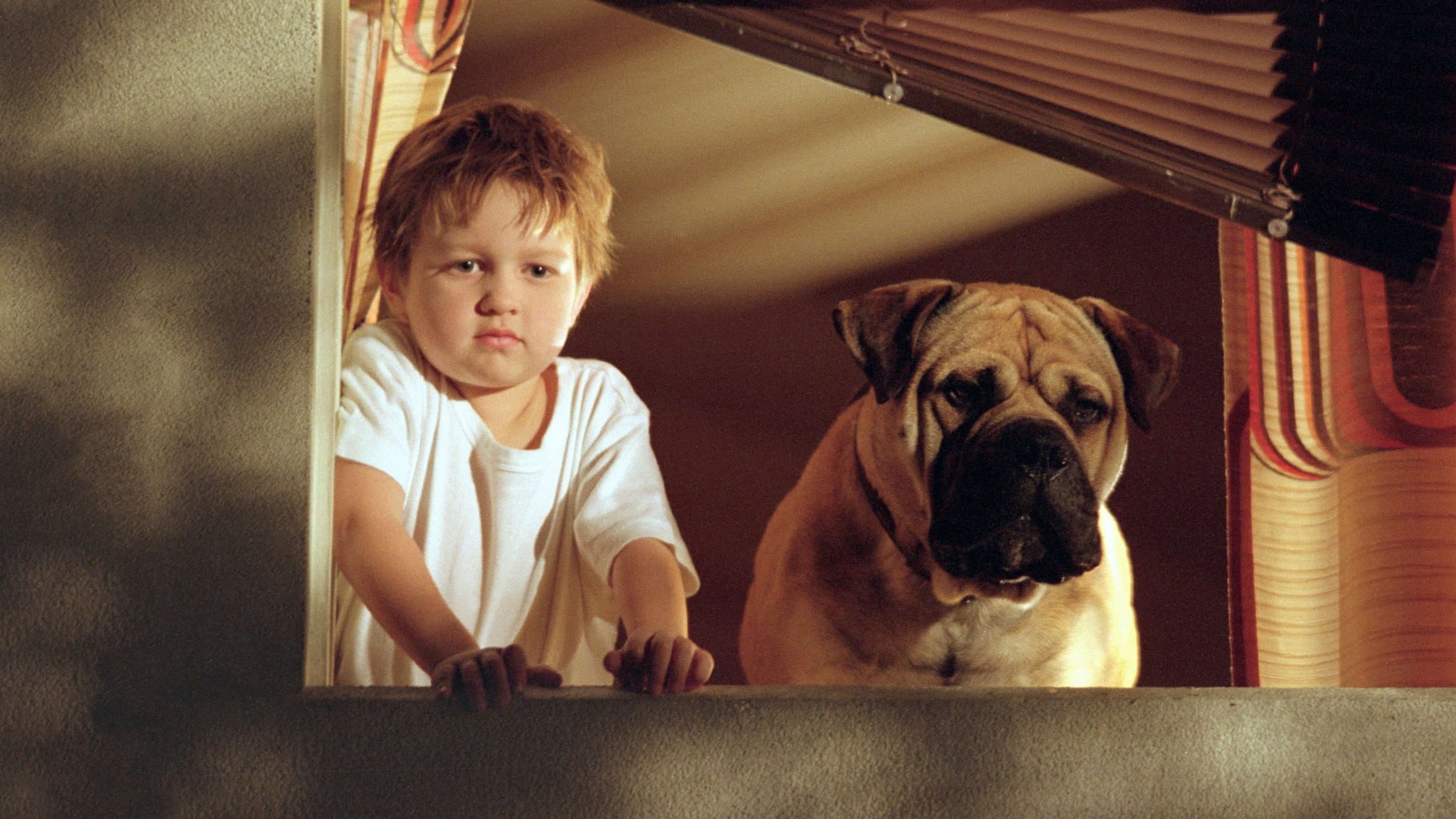 Spot - Supercane anticrimine - immagine