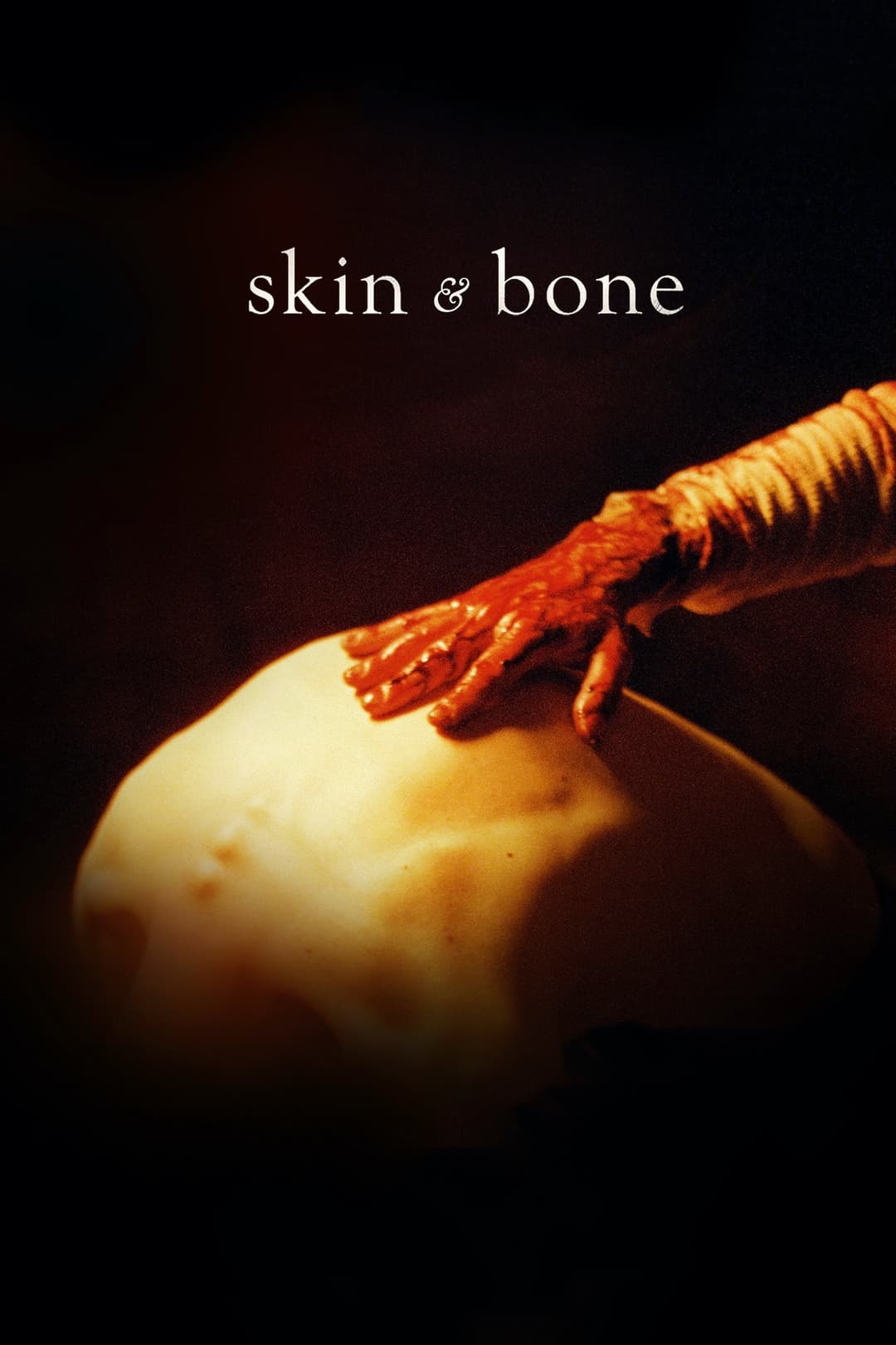 Poster di Skin & Bone