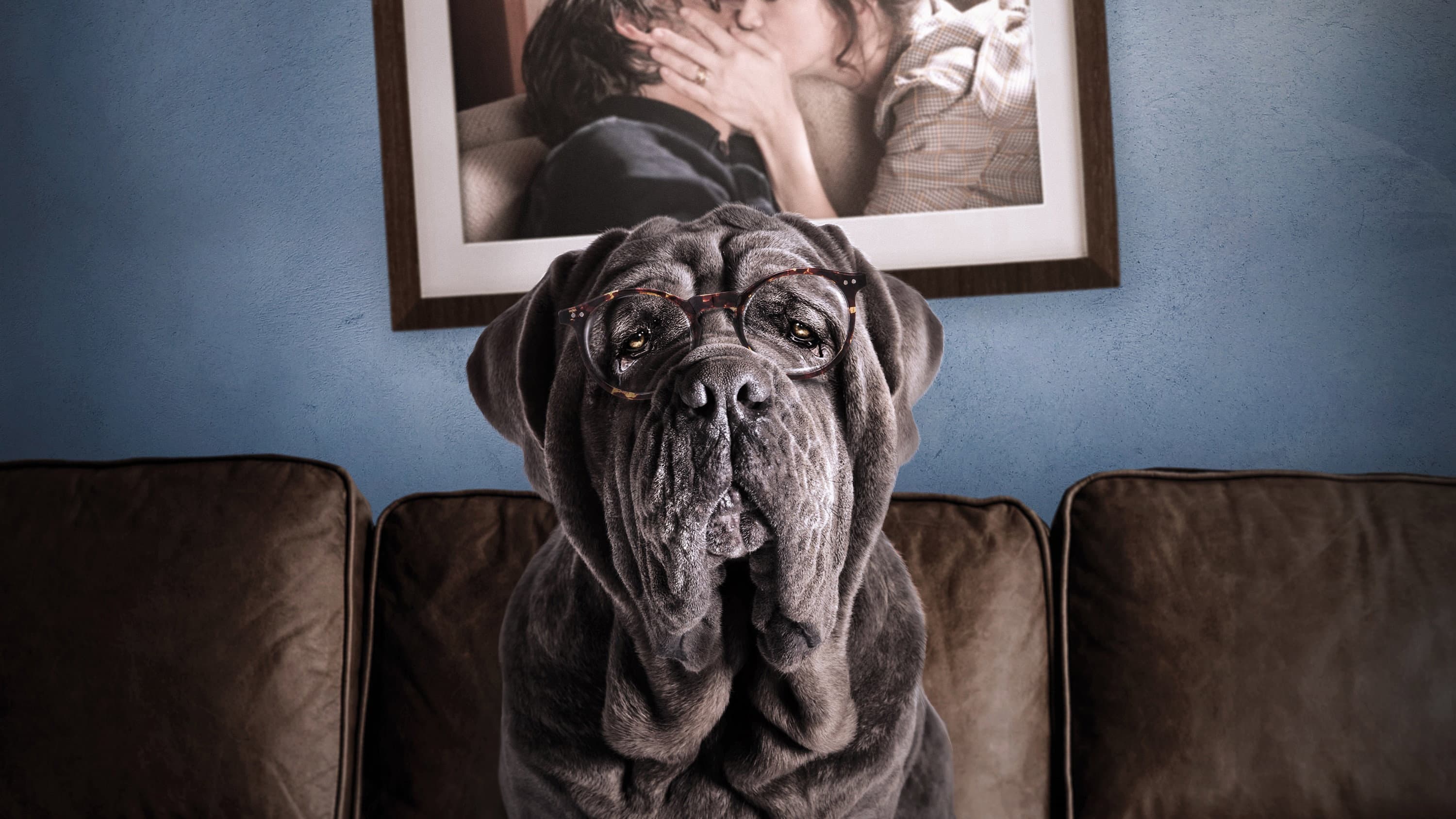 My Dog Stupid - Il mio cane Stupido - immagine