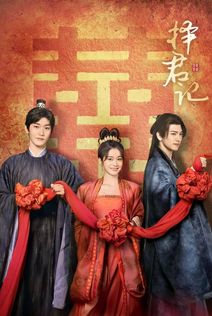 Poster di 择君记
