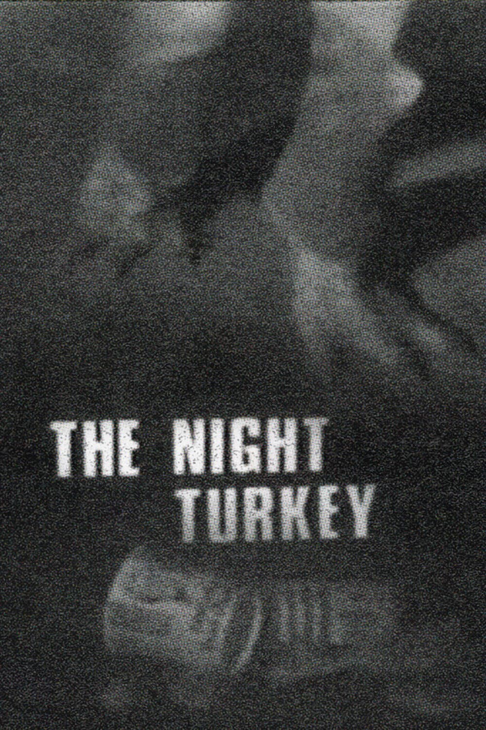 Poster di The Night Turkey
