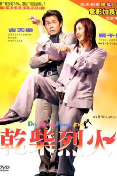 Poster di 乾柴烈火