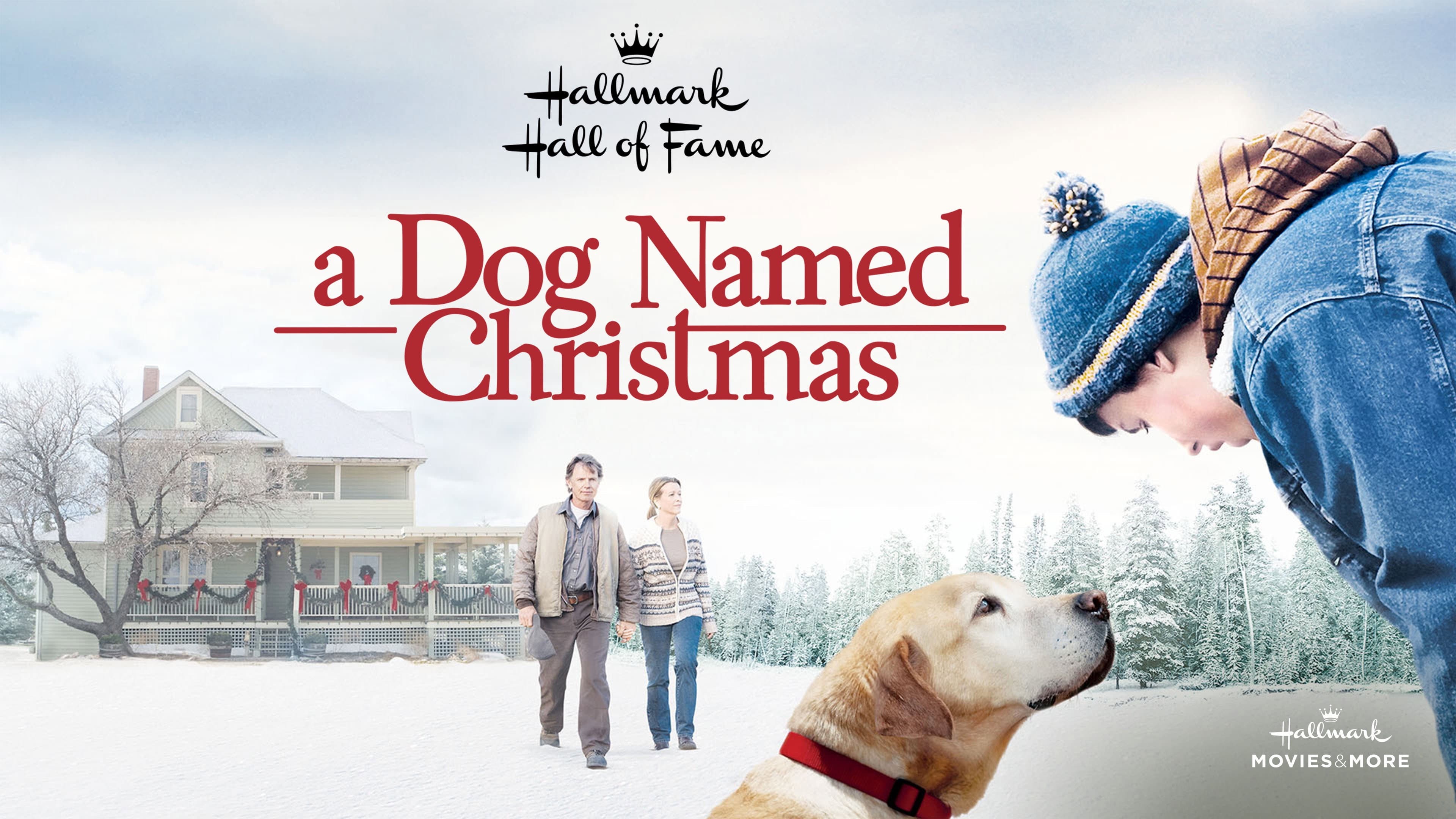 A Dog Named Christmas - immagine