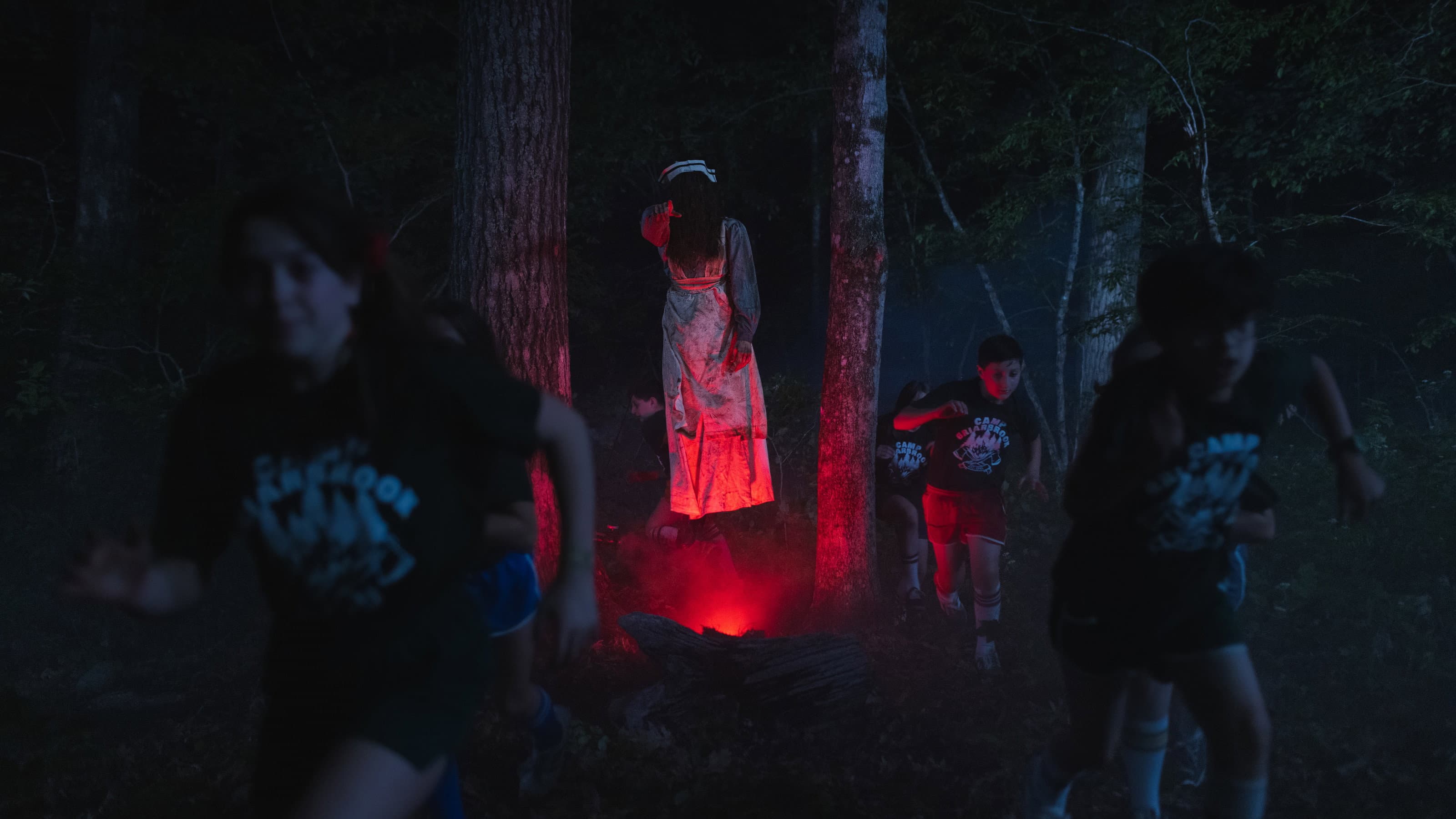 She Came from the Woods - immagine