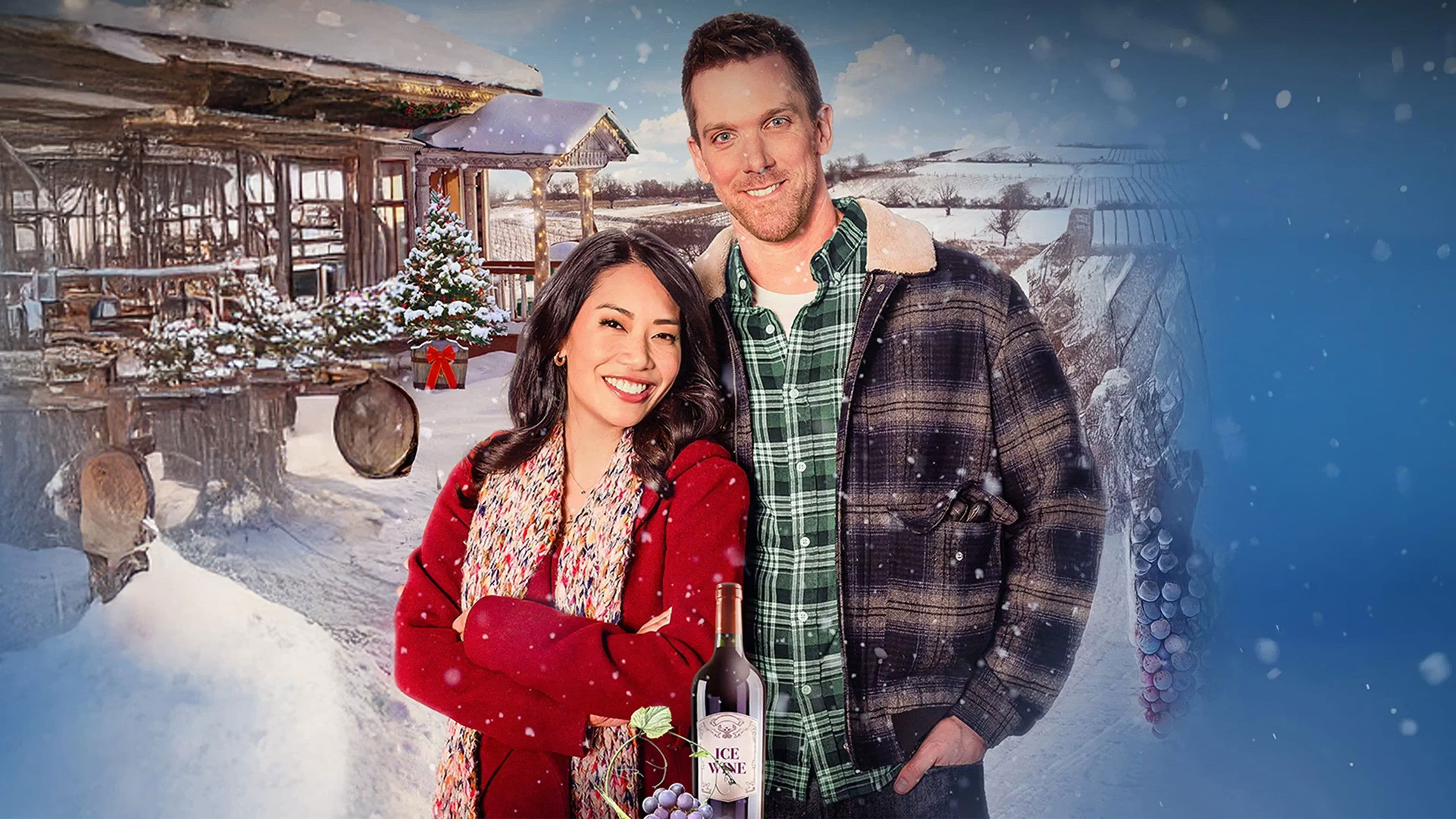 A Vineyard Christmas - immagine