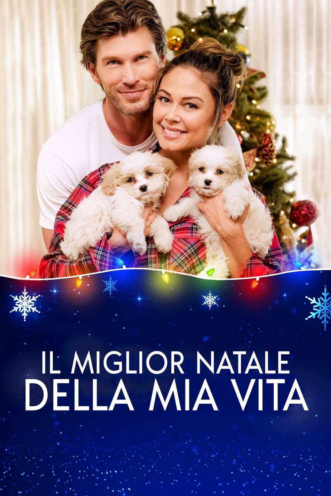 Poster di Il miglior Natale della mia vita
