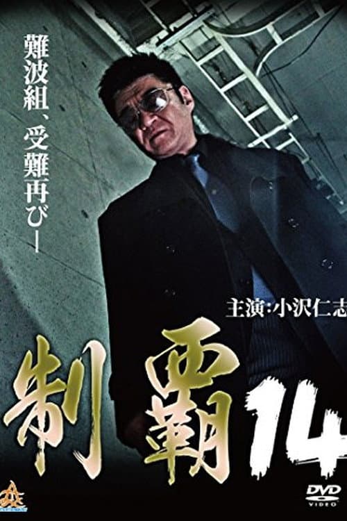 Poster di 制覇１４