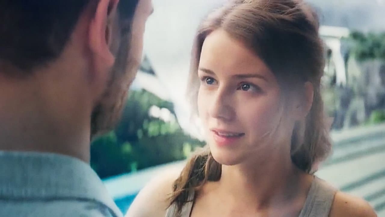 Attraction - immagine