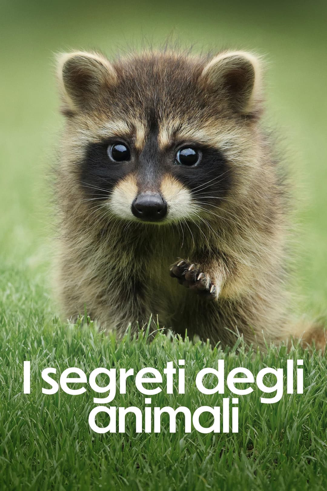 Poster di I segreti degli animali