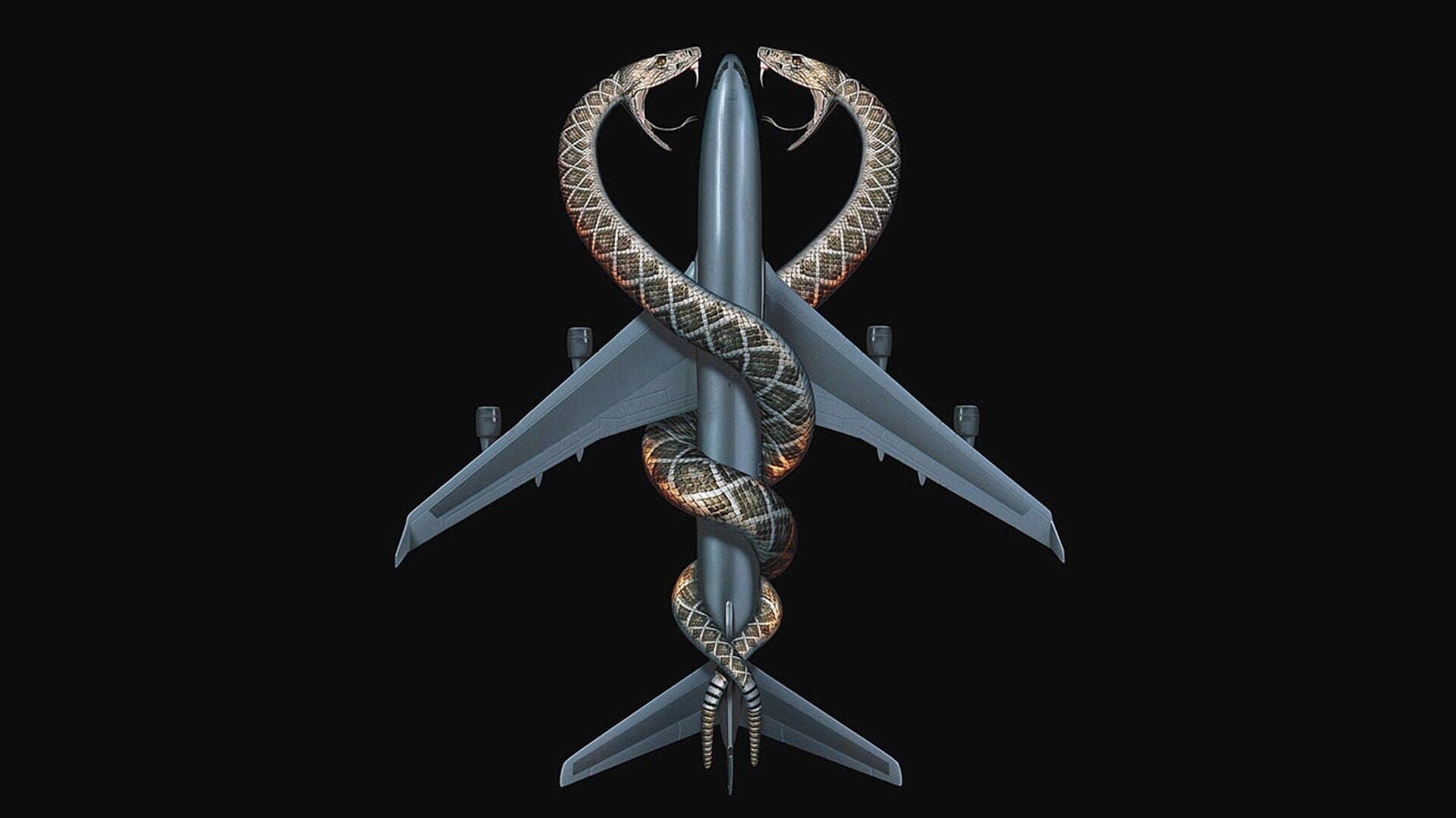 Snakes on a Plane - immagine