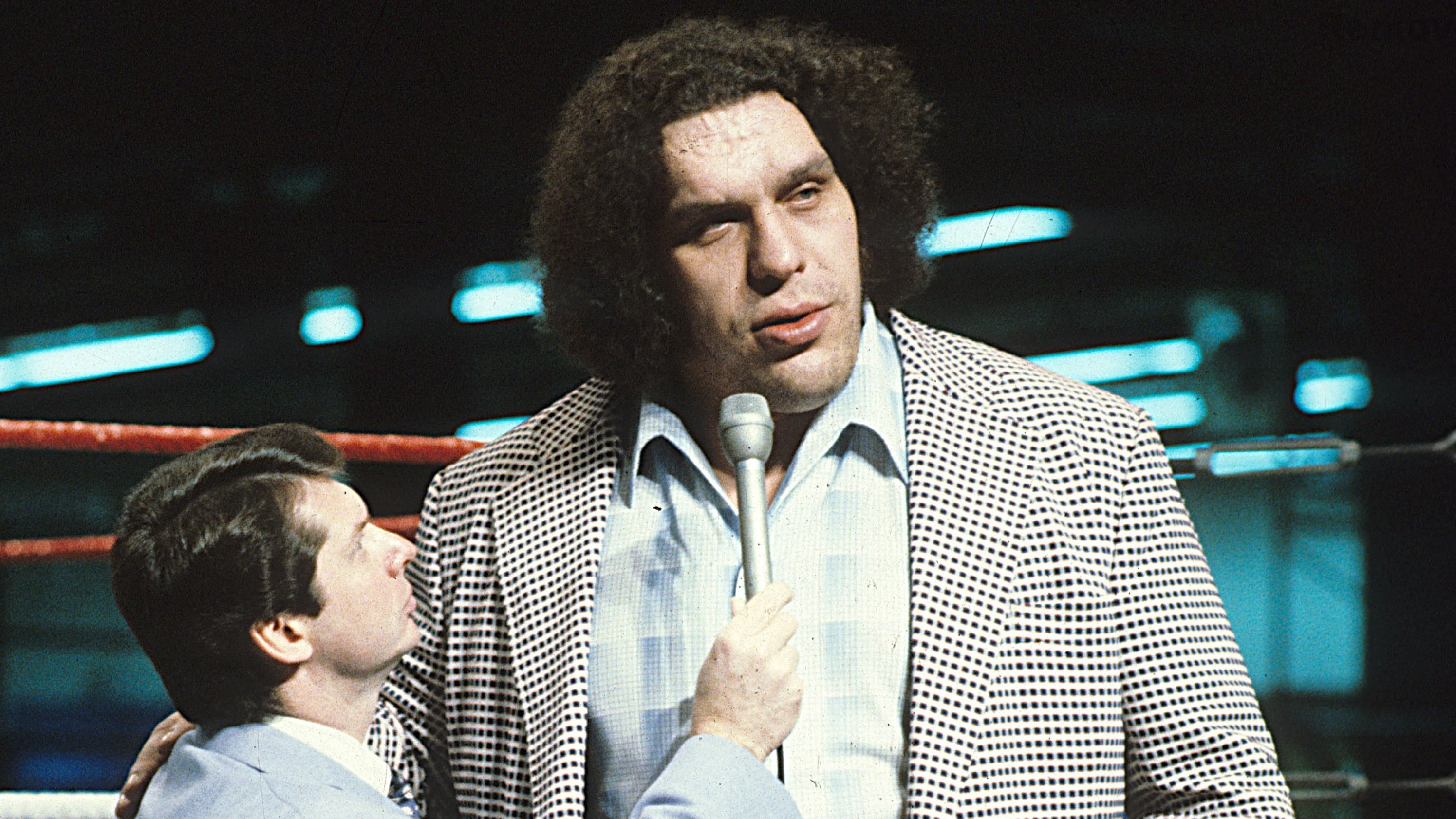Andre the Giant - immagine