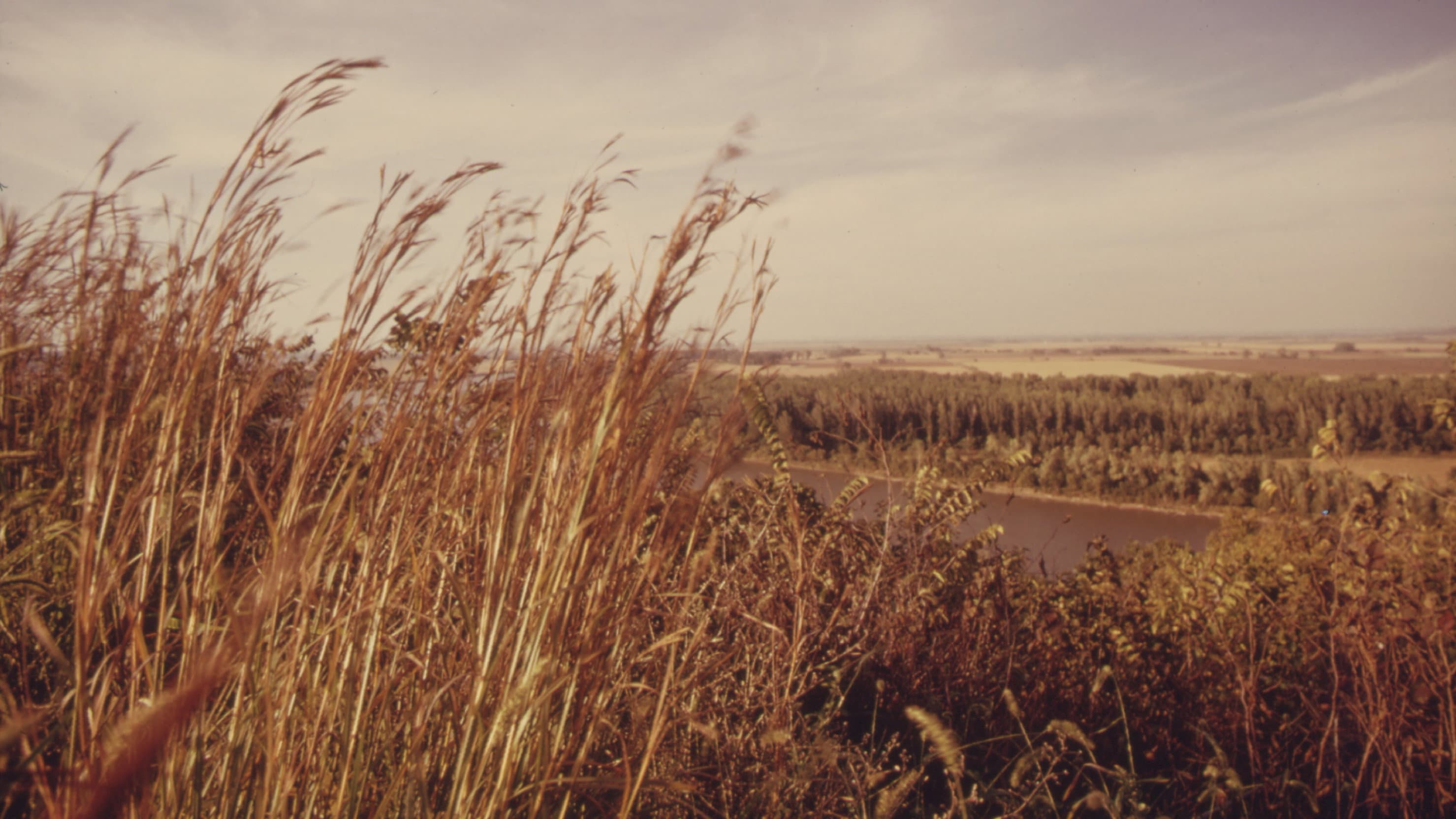 America's Lost Landscape: The Tallgrass Prairie - immagine