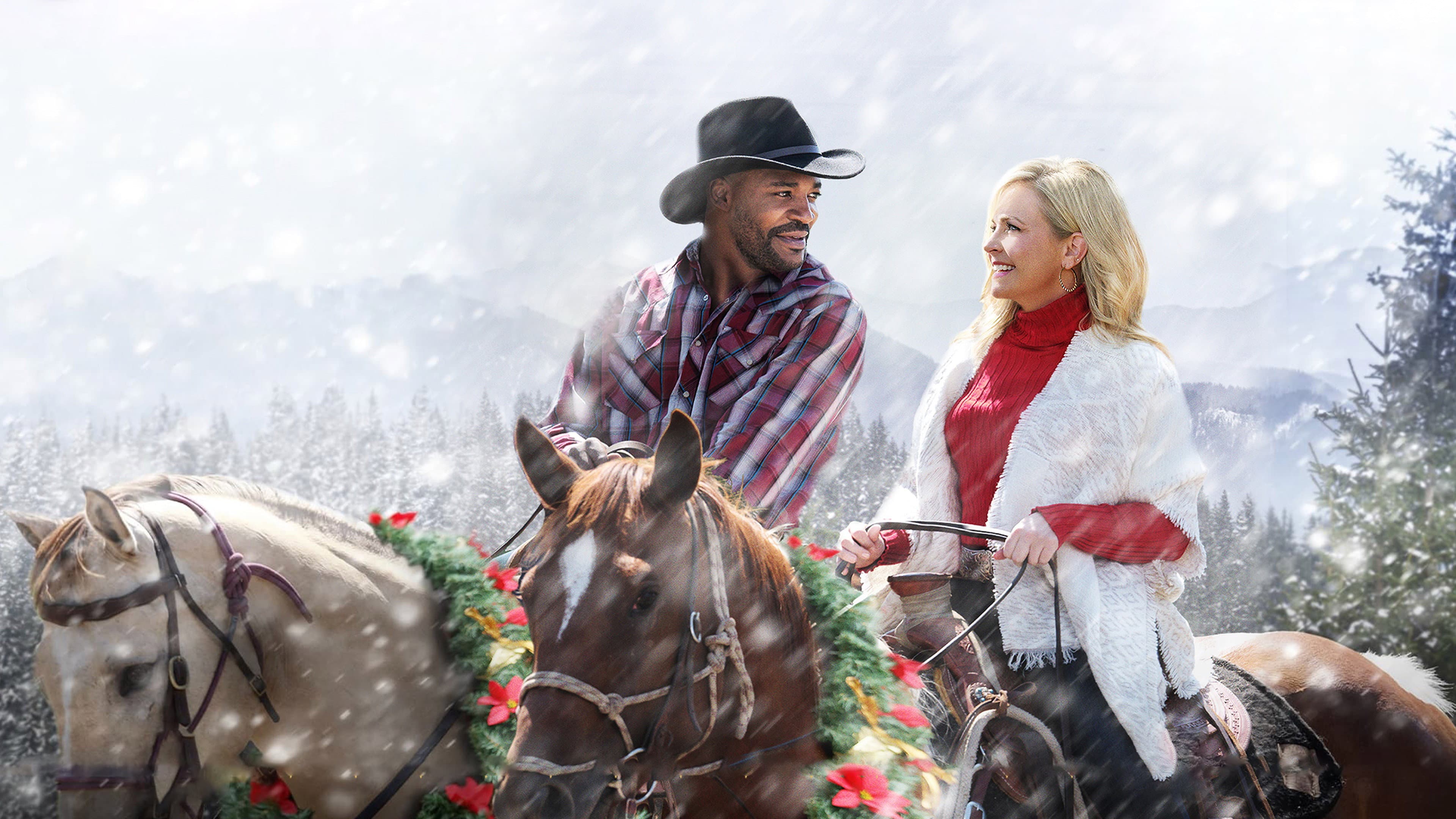 Mistletoe in Montana - immagine