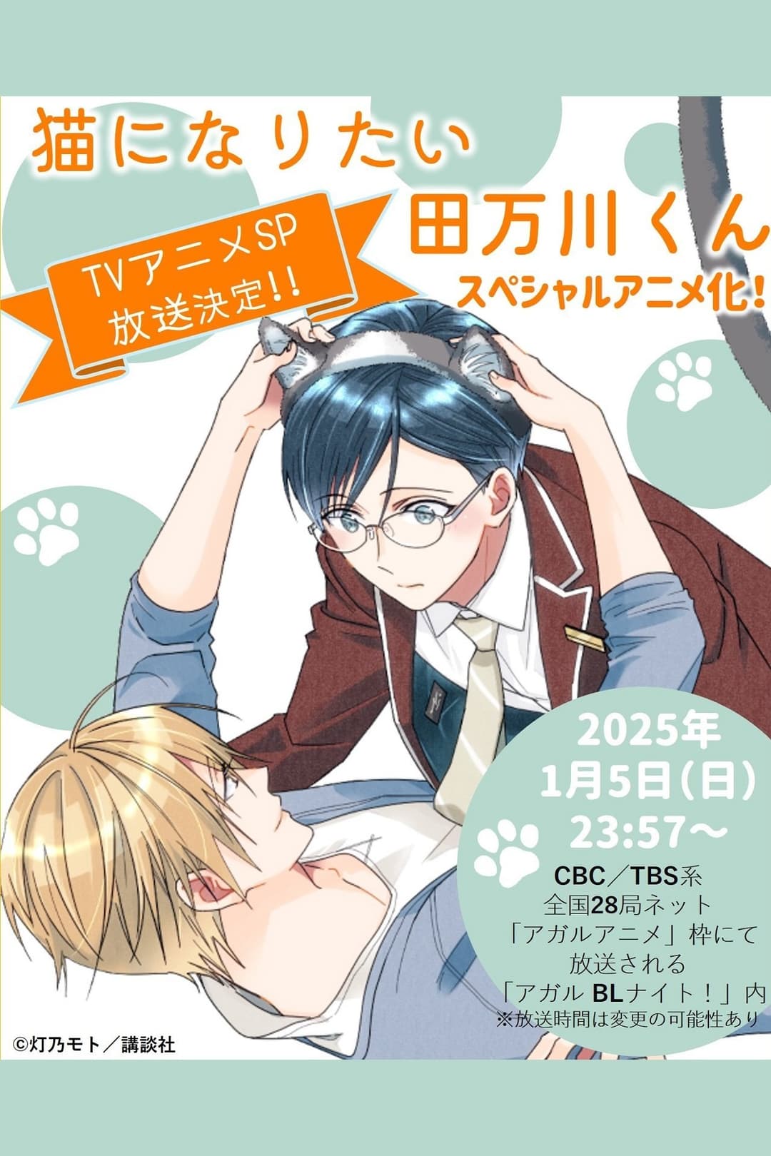 Poster di 猫になりたい田万川くん