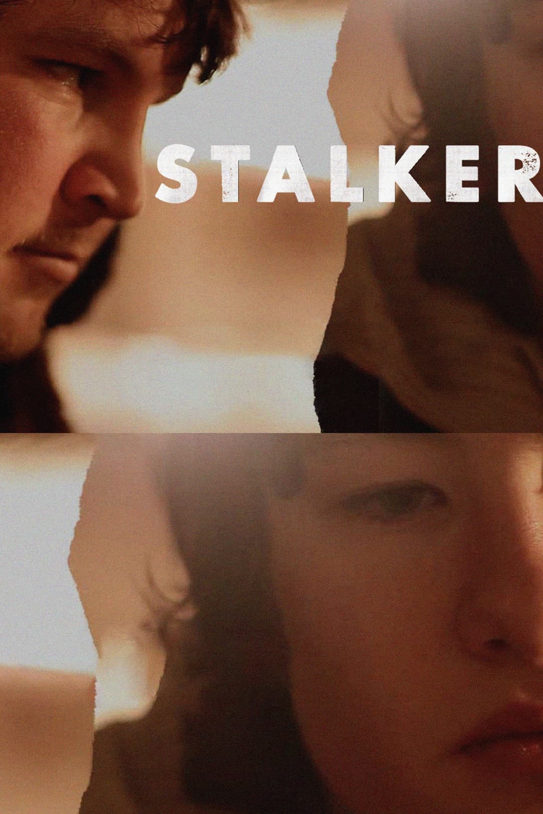 Poster di Stalker