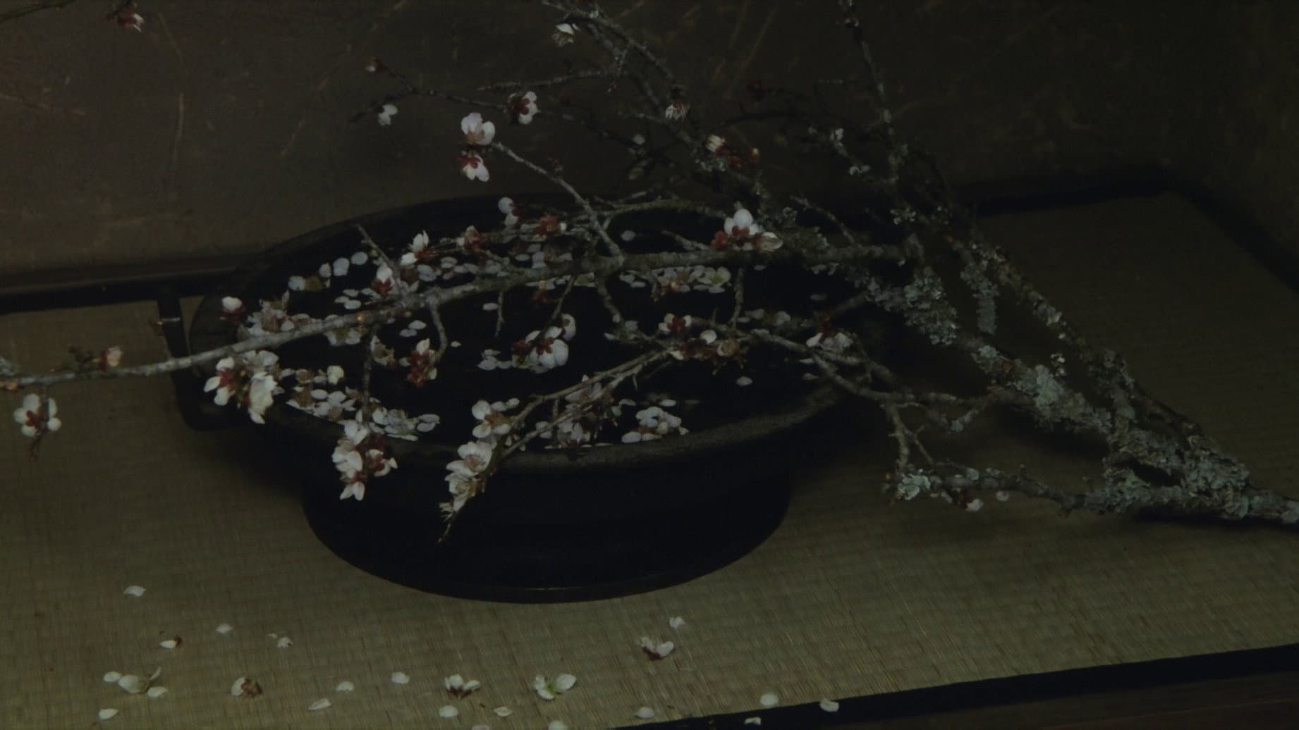 利休 - immagine