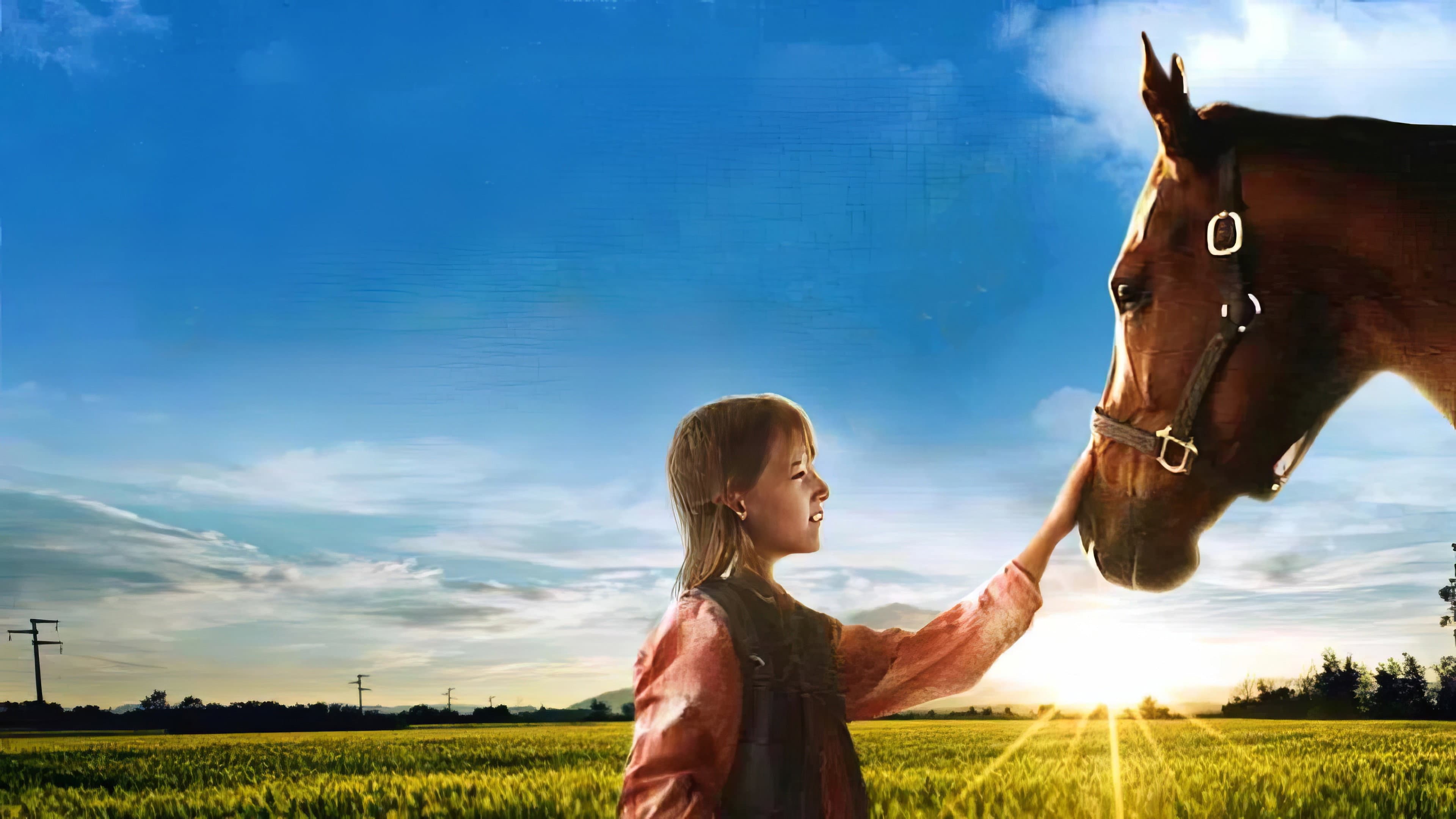 A Horse for Danny - immagine