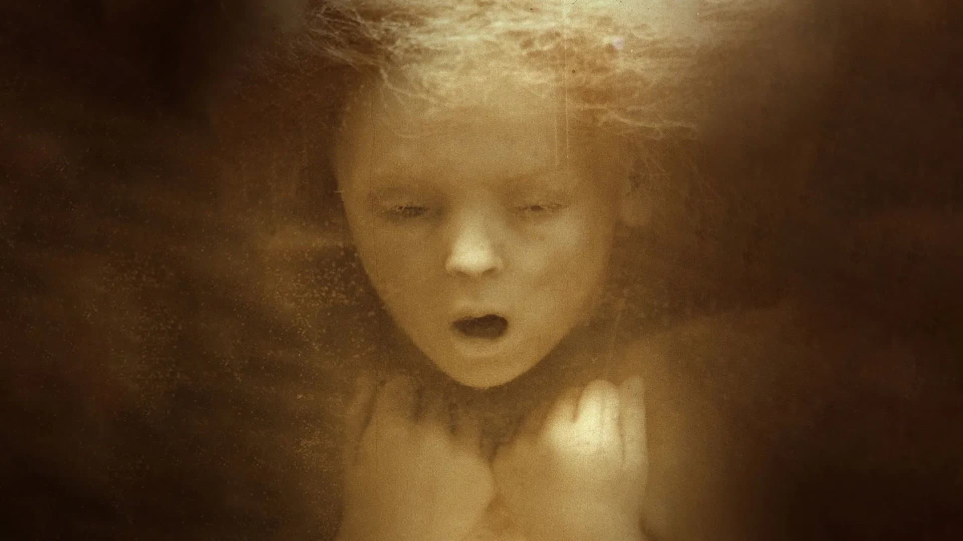 Il regno - immagine